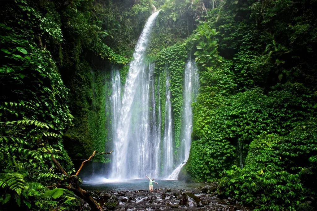 Cataratas Banyumala en Bali rodeadas de vegetación tropical, un rincón natural y exótico para descubrir en un viaje a medida